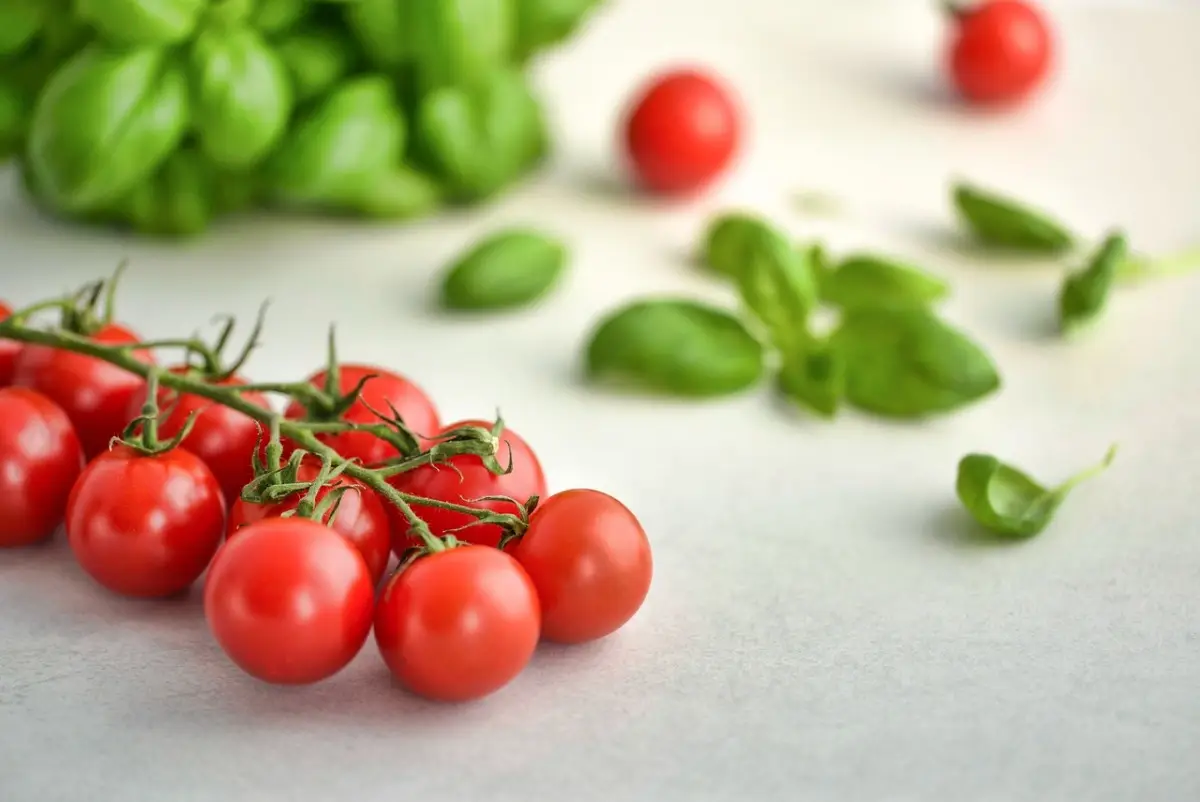 Non mangiare mai pomodori crudi se soffri di acidità Non mangiare mai pomodori crudi se soffri di acidità