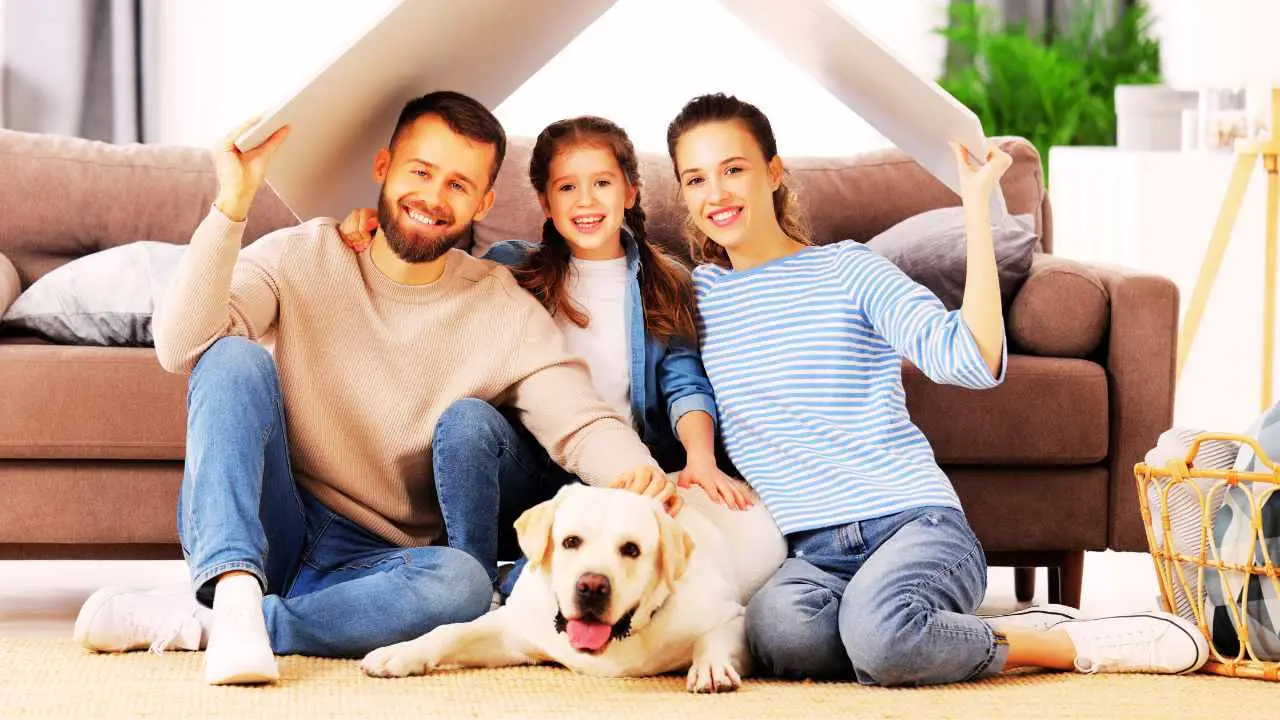 Pet therapy a cavallo nove destrieri che trasformano la vita di molte persone Immagine selezionata