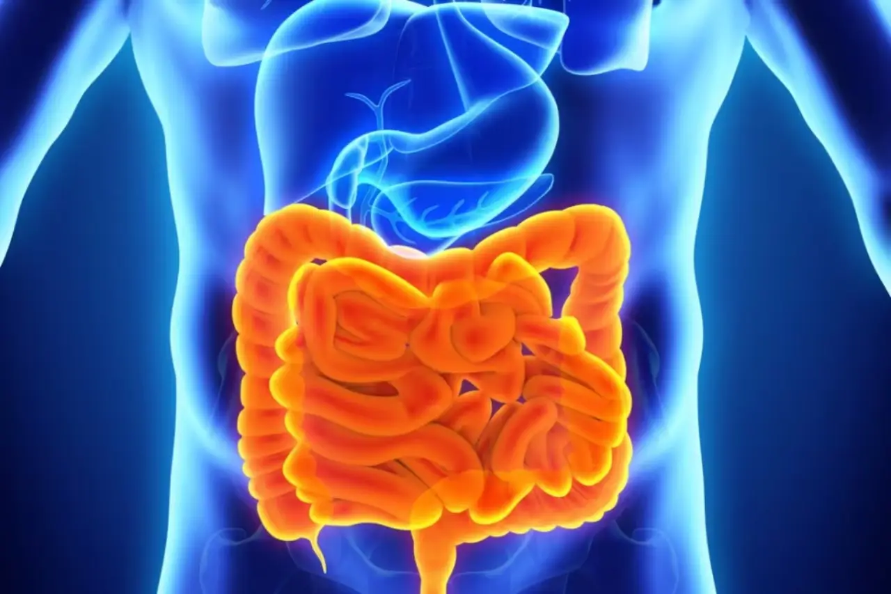 Colon irritabile? Ecco cosa mangiare e cosa evitare, per dire addio ai fastidi Colon irritabile? Ecco cosa mangiare e cosa evitare, per dire addio ai fastidi