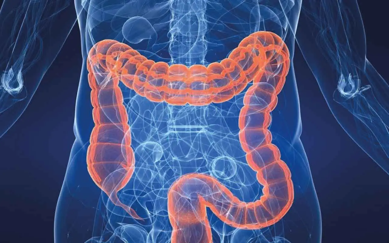 Colon irritabile? Ecco cosa mangiare e cosa evitare, per dire addio ai fastidi Immagine selezionata
