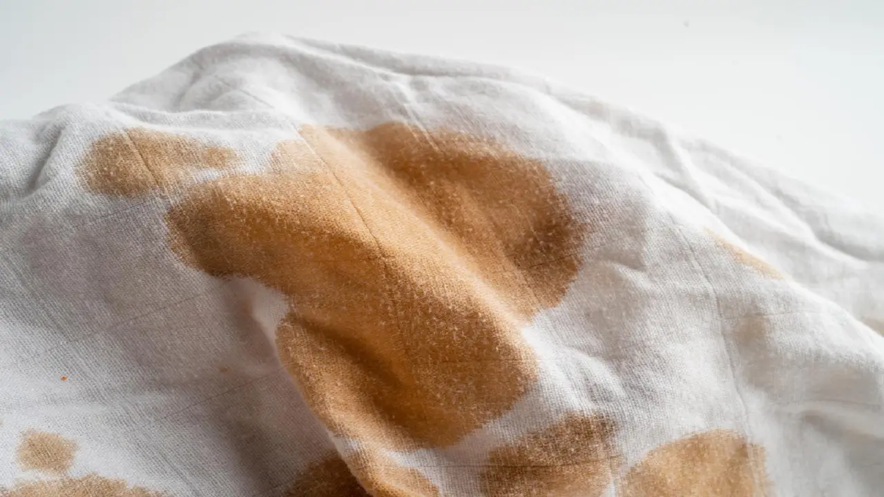 I metodi più efficaci per eliminare le macchie di caffè dai tessuti Immagine selezionata