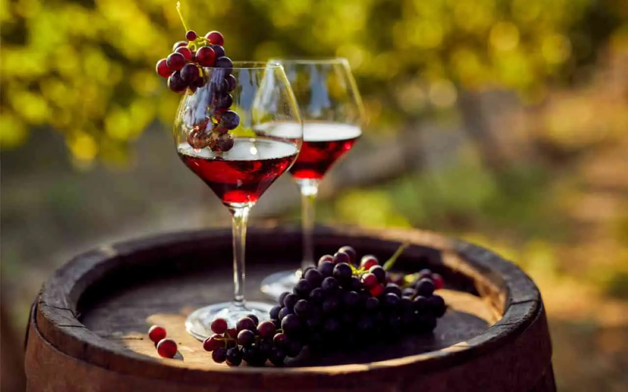 Crisi del vino? Ecco la rivoluzione che riaccende la speranza dei vigneti italiani Immagine selezionata