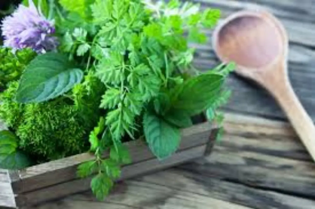 Come realizzare un angolo aromatico in cucina: queste le piante ideali Immagine selezionata