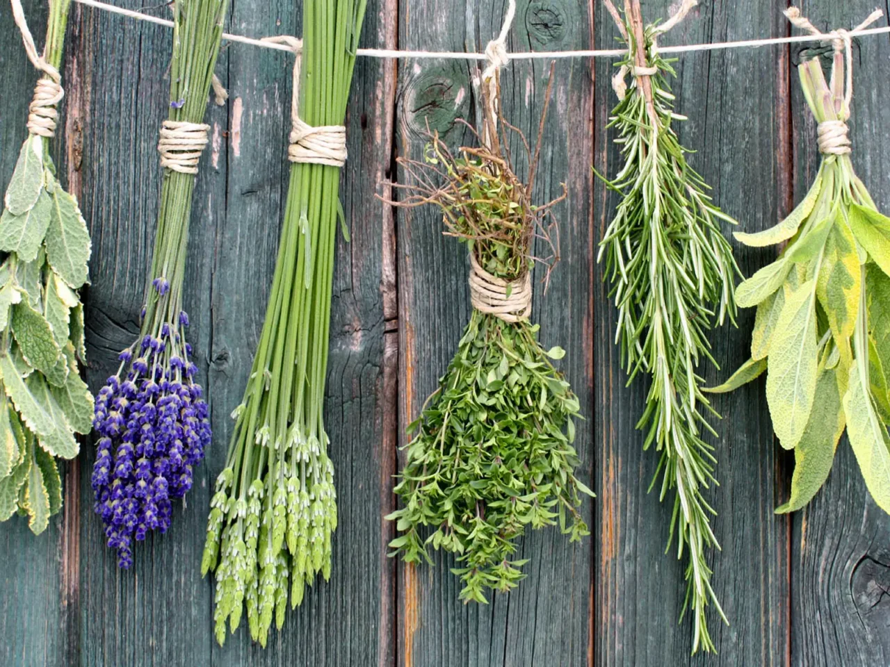 Come realizzare un angolo aromatico in cucina: queste le piante ideali Immagine selezionata