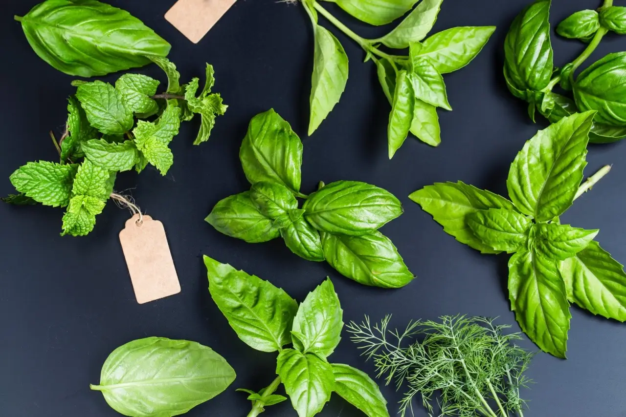 Come realizzare un angolo aromatico in cucina: queste le piante ideali Immagine selezionata