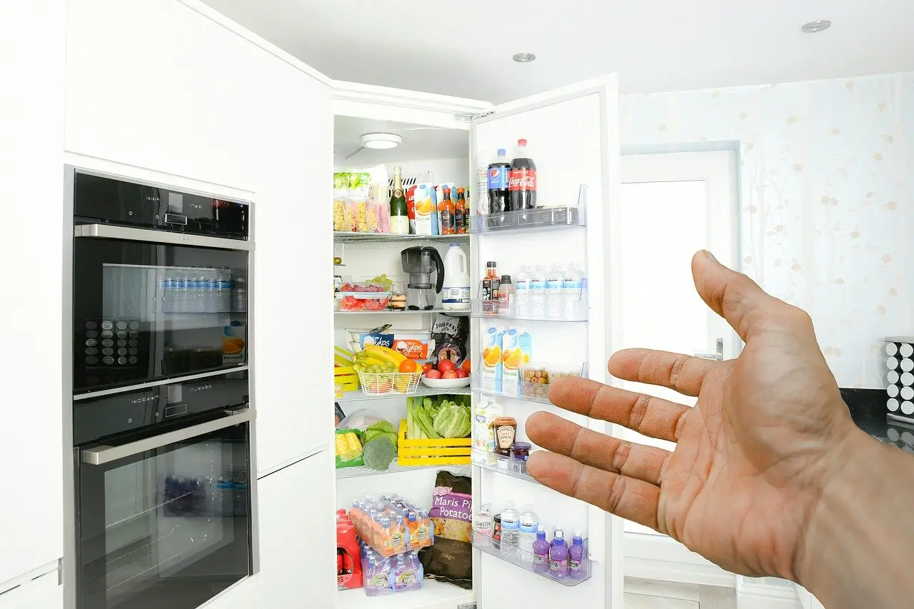 Come organizzare il frigorifero per risparmiare energia elettrica Immagine selezionata