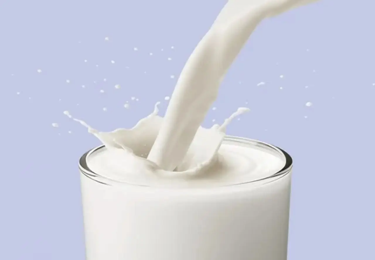 Bere latte prima di dormire può compromettere la qualità del sonno: ecco i motivi Bere latte prima di dormire può compromettere la qualità del sonno: ecco i motivi