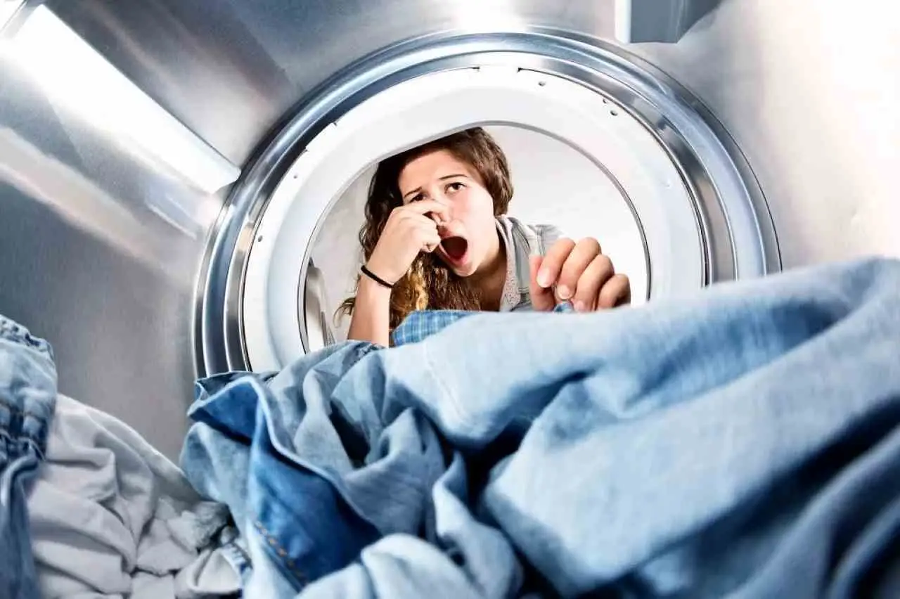 Attenzione a dimenticare i panni nell’asciugatrice piena: cosa può accadere Attenzione a dimenticare i panni nell’asciugatrice piena: cosa può accadere