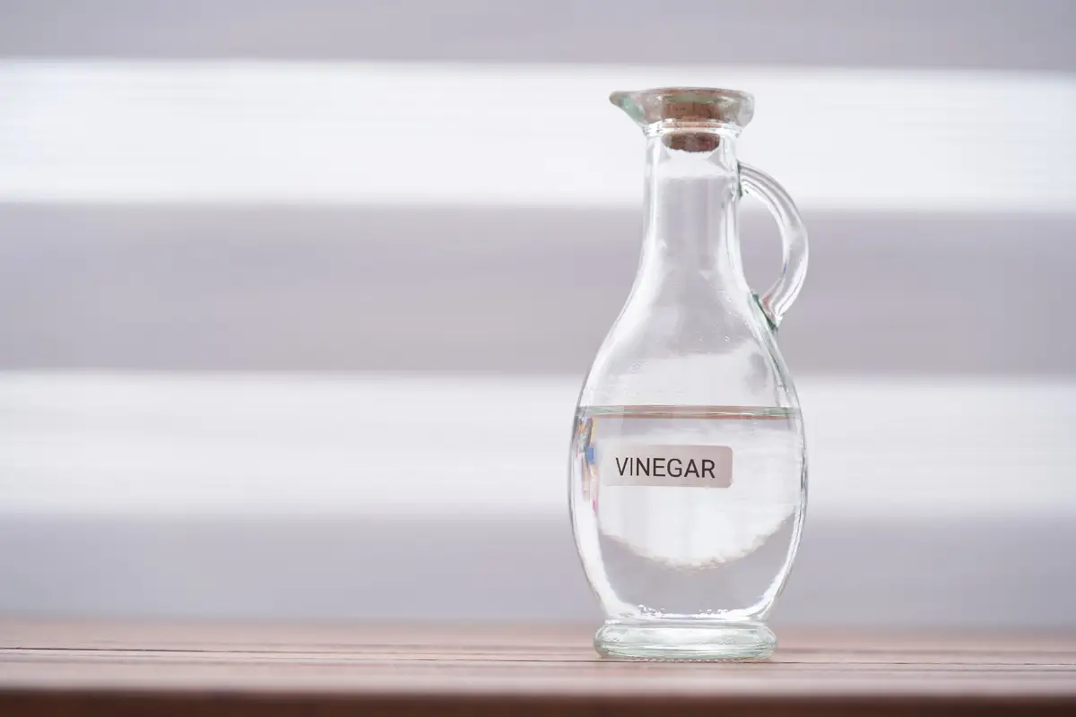 Metodi naturali per allontanare le formiche da casa senza ricorrere ai veleni Metodi naturali per allontanare le formiche da casa senza ricorrere ai veleni