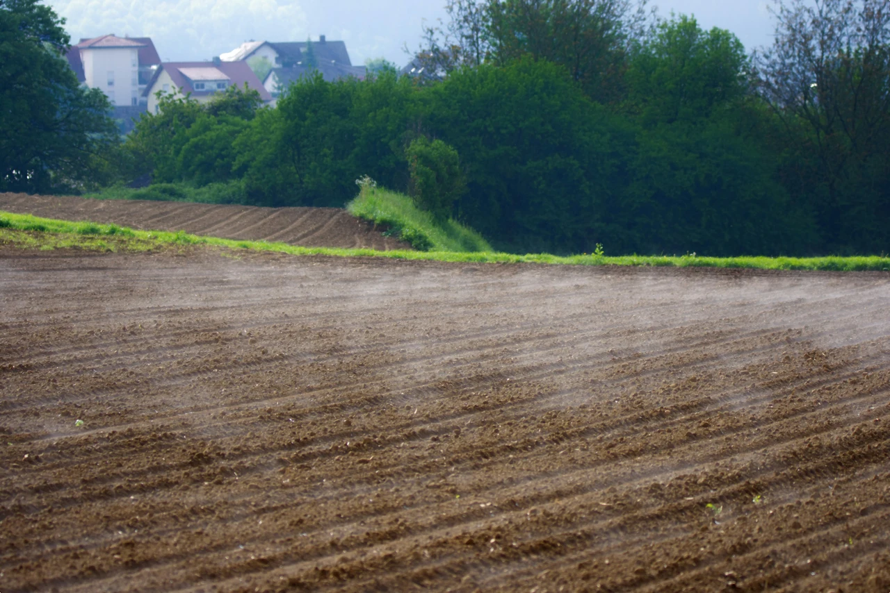 Evitare il getto diretto d’acqua sui semi appena piantati Evitare il getto diretto d’acqua sui semi appena piantati