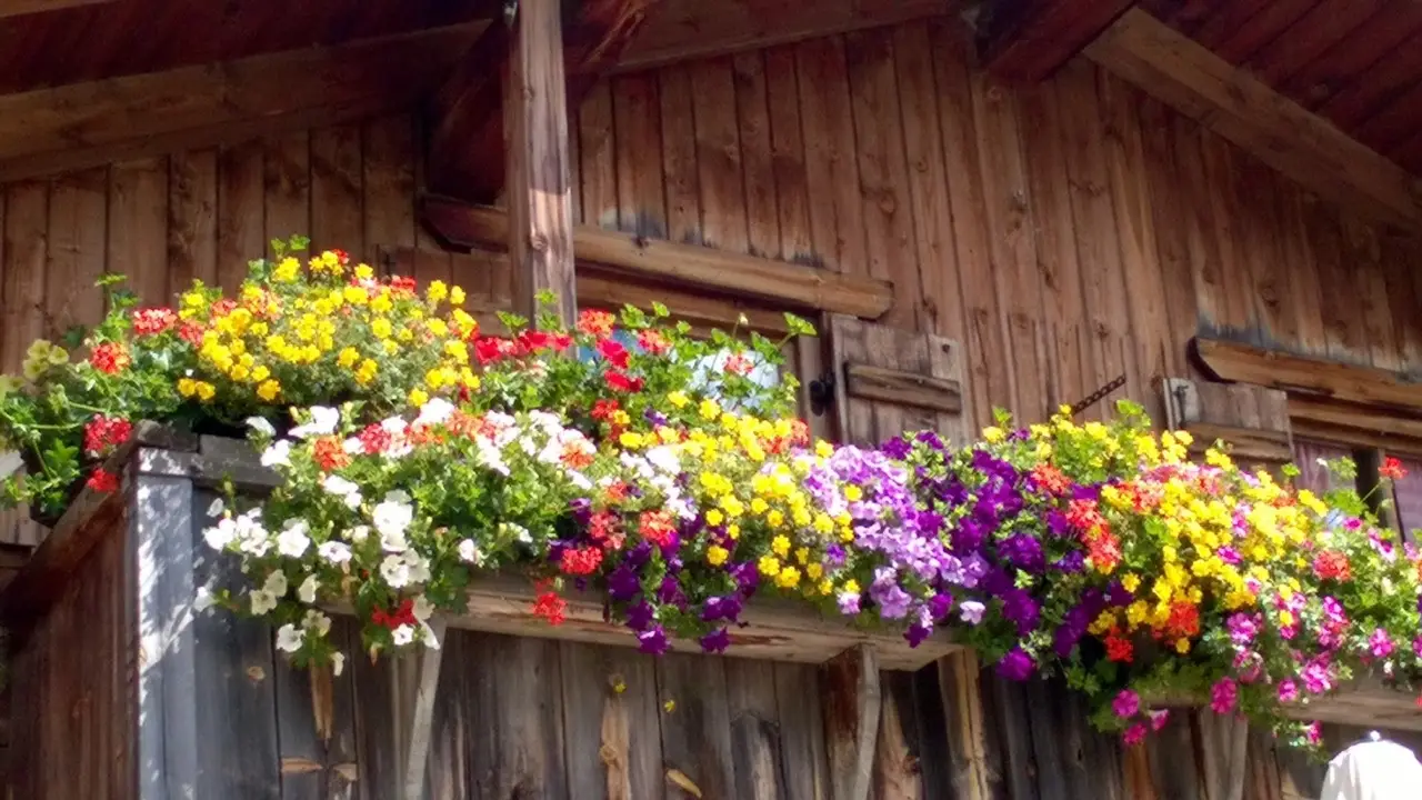 Come arredare il balcone con fioriere sospese: idee pratiche per piccoli spazi Come arredare il balcone con fioriere sospese: idee pratiche per piccoli spazi