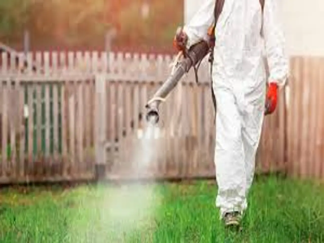Diserbo fai-da-te: come preparare la soluzione al sale più efficace per il tuo giardino Diserbo fai-da-te: come preparare la soluzione al sale più efficace per il tuo giardino